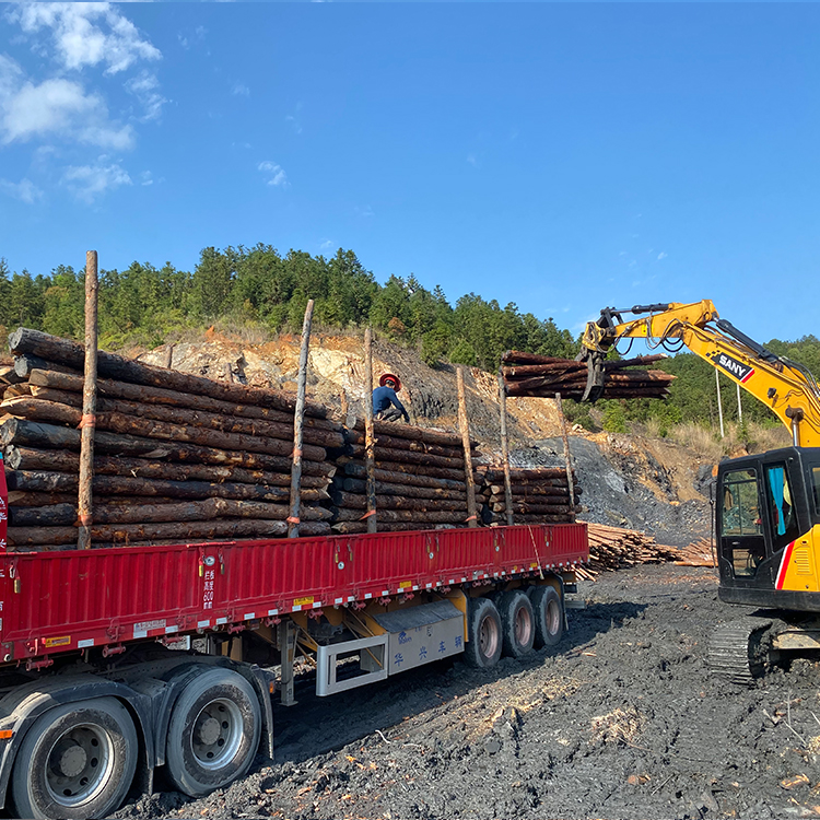 防洪防汛用的松木樁/杉木樁哪里有賣？