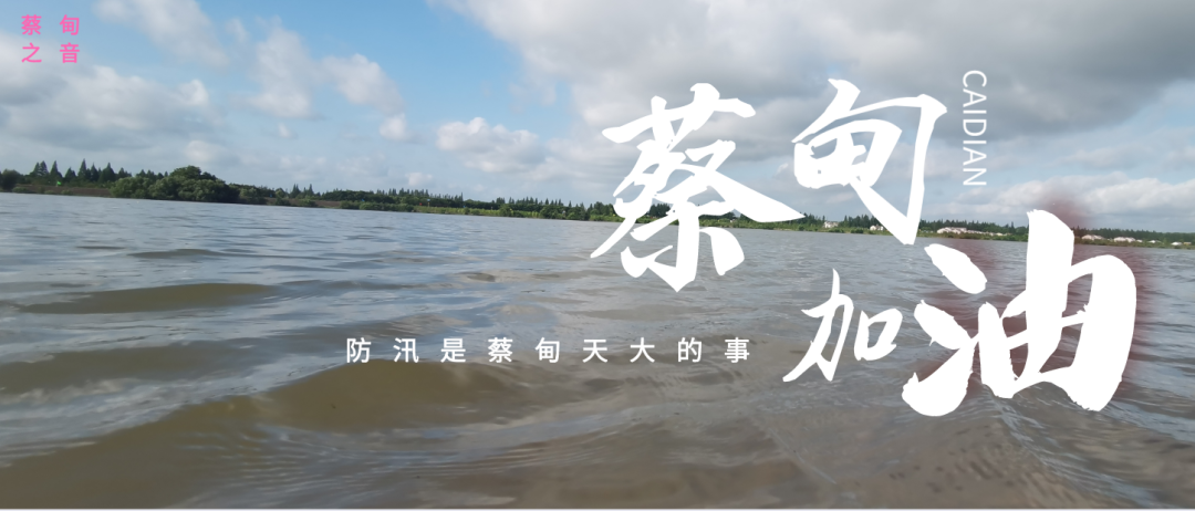 蔡甸區(qū)啟動防汛ⅰ級應(yīng)急響應(yīng),做好鋪土釘防汛木樁工作