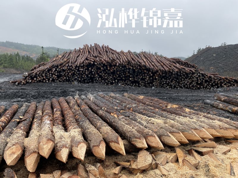 6米長松木樁有哪些作用，多少錢一根？