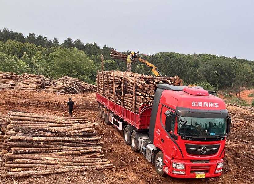 落葉松可以做防腐木嗎，如何制作落葉松防腐木