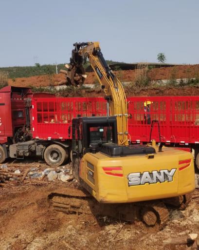 松木原木、松木條，漲勢如虹，現(xiàn)在搶購最劃算(附松木原木供應廠家介紹)