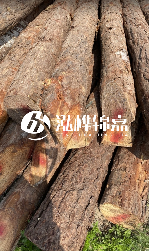 <strong>松木樁和杉木樁的用途區(qū)別？哪個(gè)更適合打樁用？</strong>