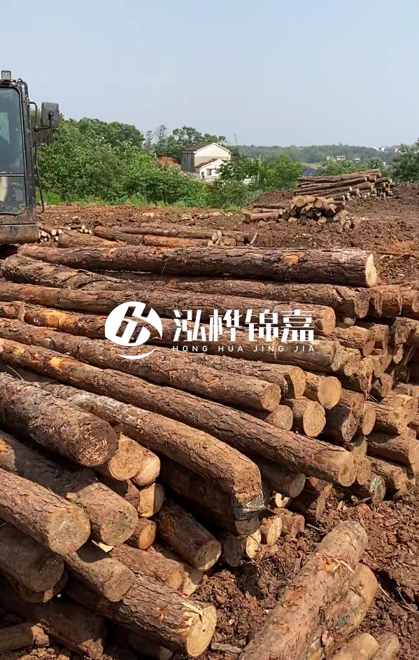 荊州挖機(jī)打木樁專業(yè)施工-河道打樁木被水浸泡后會不會變形嚴(yán)重？