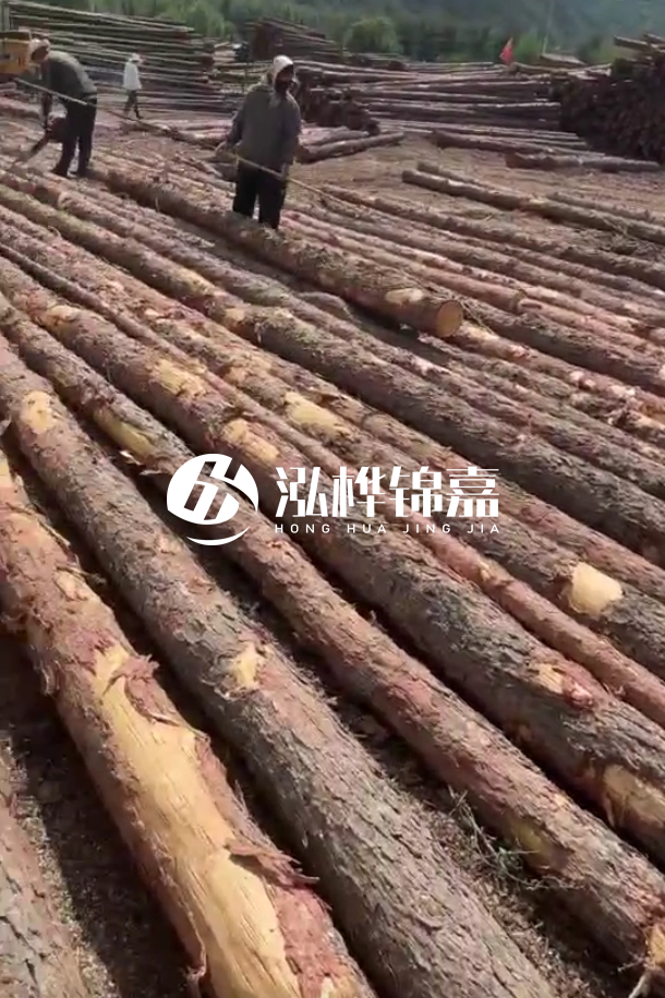 ?？谒赡緲对搭^廠家-松木樁最長(zhǎng)可以做多少米？