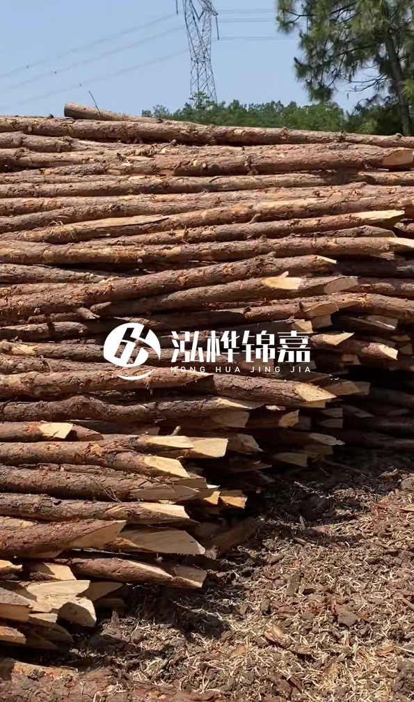 銅仁市挖機打木樁專業(yè)施工-河道松木樁水面需要預(yù)留多少？