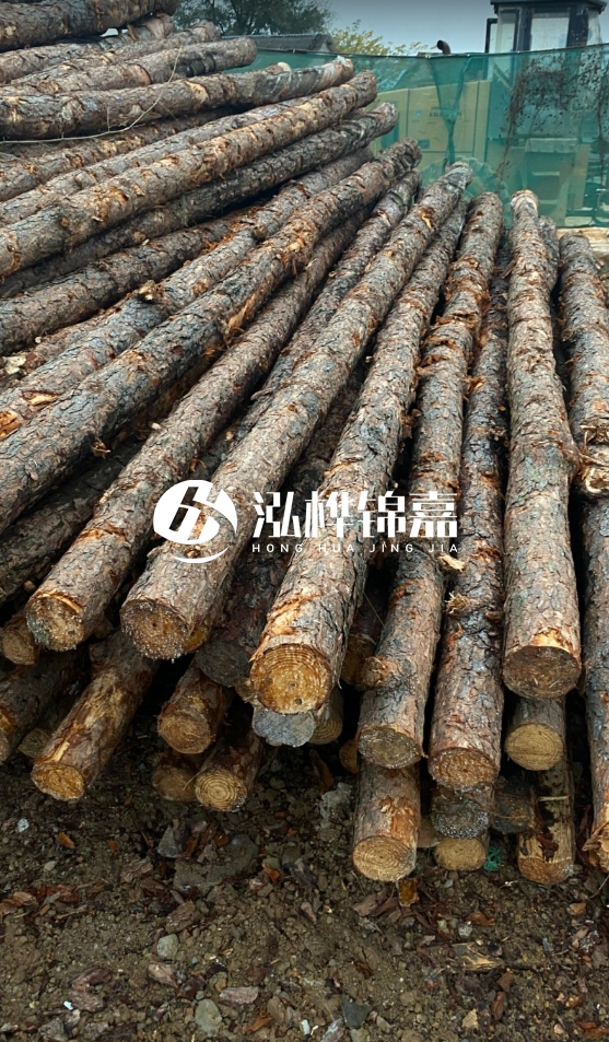 徐州松木樁批發(fā)源頭廠家-松木樁需要做防腐嗎？
