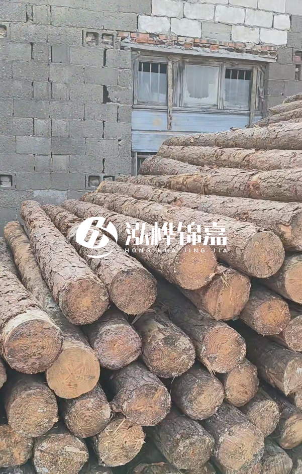 2025最新松木樁價格揭秘：松木樁一方到底多少錢？