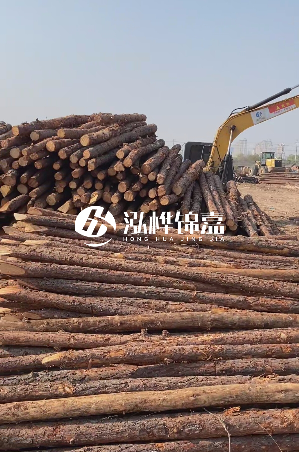 油松用于打樁木到底好不好？讓專業(yè)打樁隊告訴你！