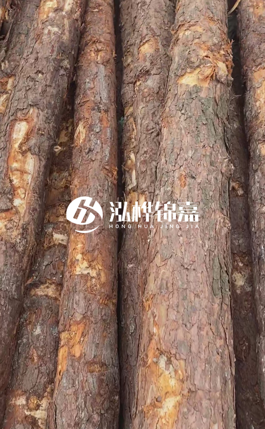 浙江地區(qū)大量供應松木樁，源頭廠家在哪里？