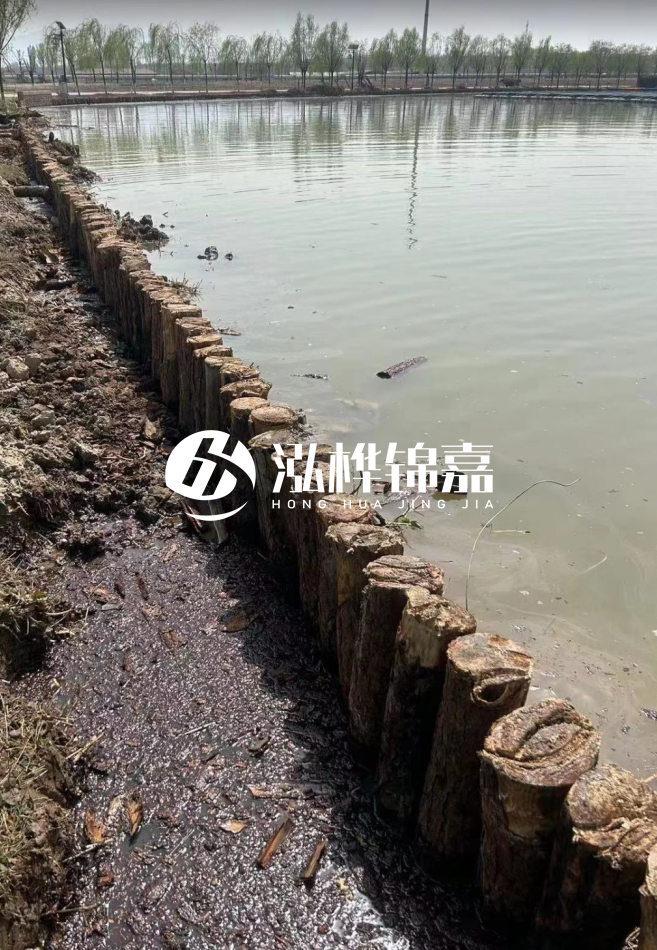 松木樁為什么要一根一根挨著打？秘密在這里！看完恍然大悟！