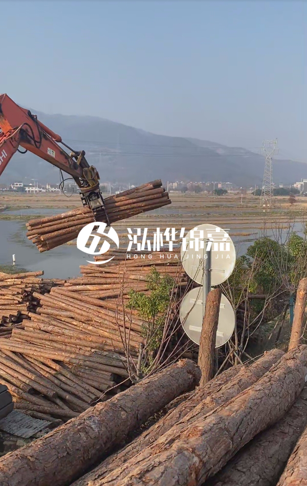 松木樁是否需要削皮呢？松木樁為什么不會爛掉呢？