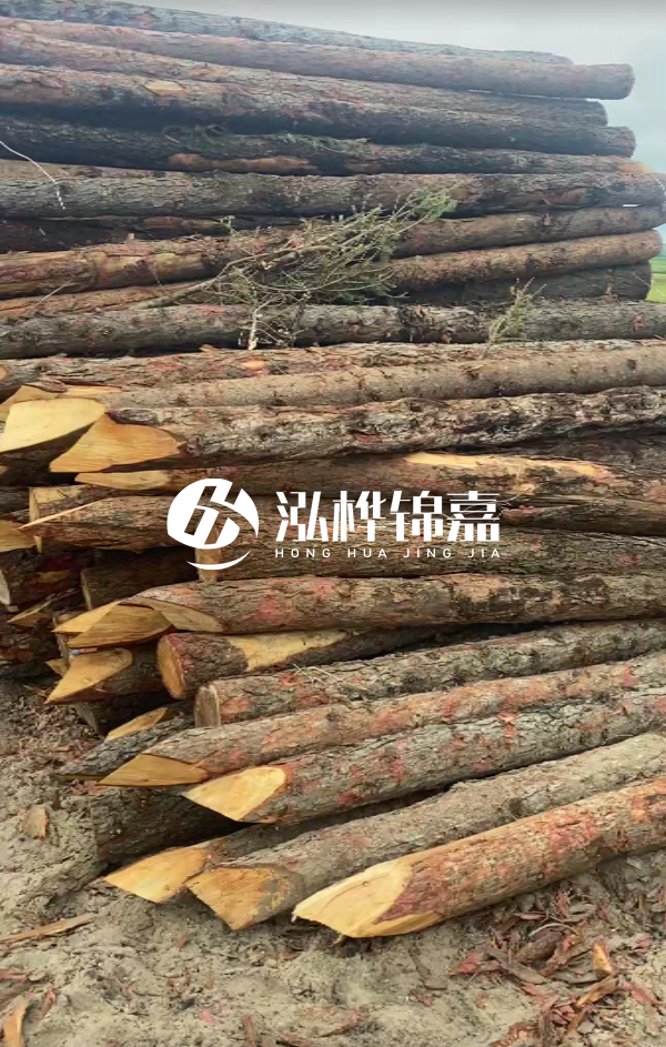 松木樁4米長(zhǎng)尾徑14厘米價(jià)格是多少？一立方米有多少根？