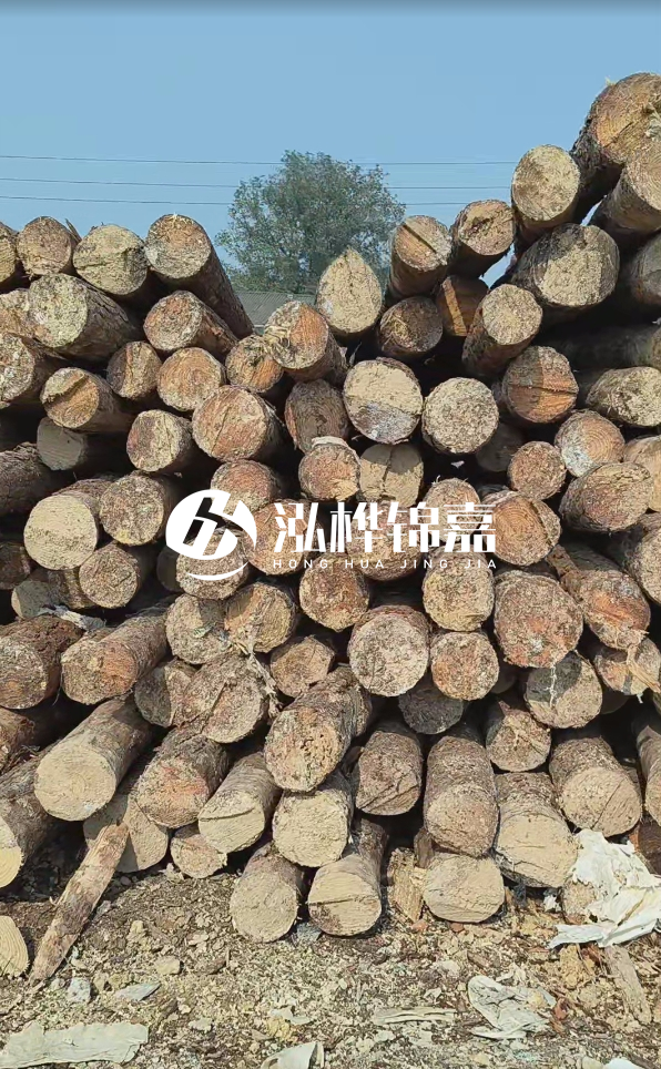 打松木樁多少錢一米 - 4 米松木樁打樁大概多少錢一根？