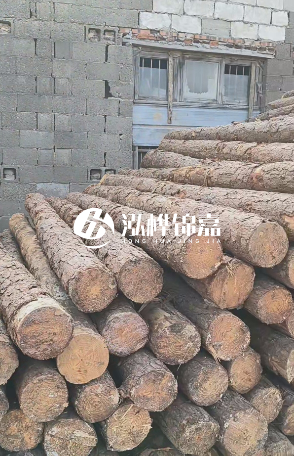 3米松木樁多少錢一根？14公分松木樁價格是多少？