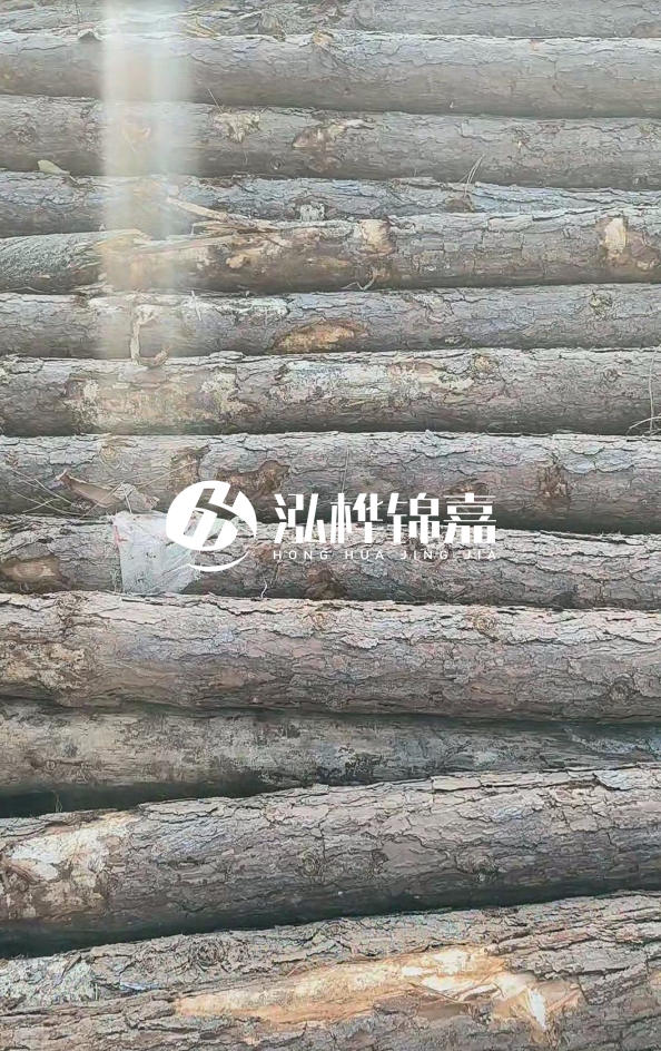 松木樁5米100mm一根多少錢(qián)-5米140mm多少錢(qián)？