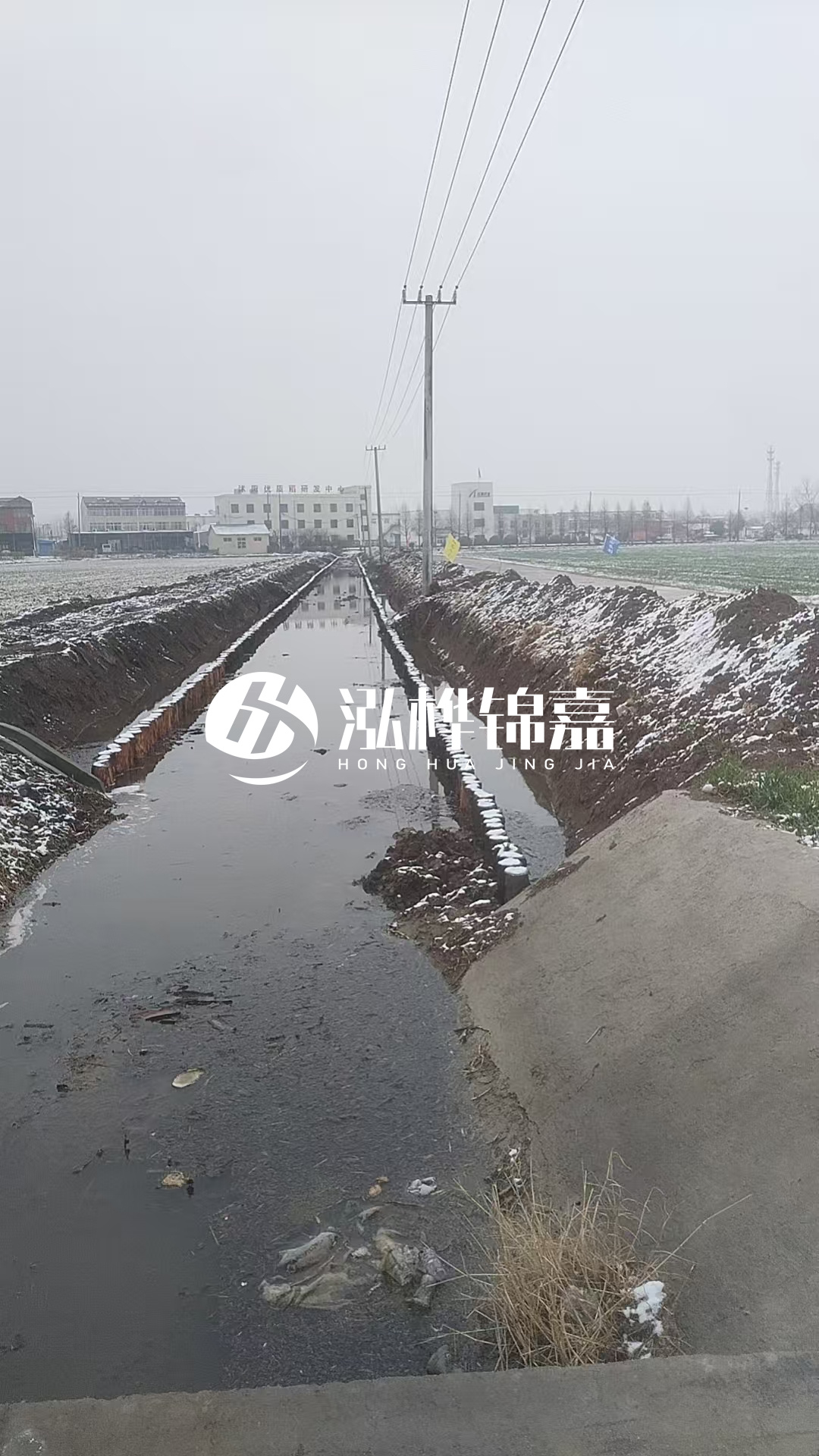 4米松木樁和杉木樁價格相差多少？哪個更便宜？