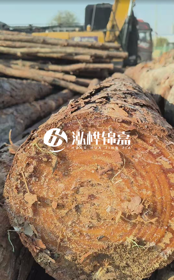 杉木樁價格多少錢一方-3米直徑14公分杉木樁價格？