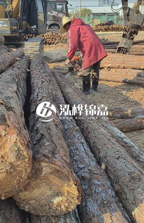 長沙打樁木批發(fā)廠家在哪里？聯(lián)系方式是什么？