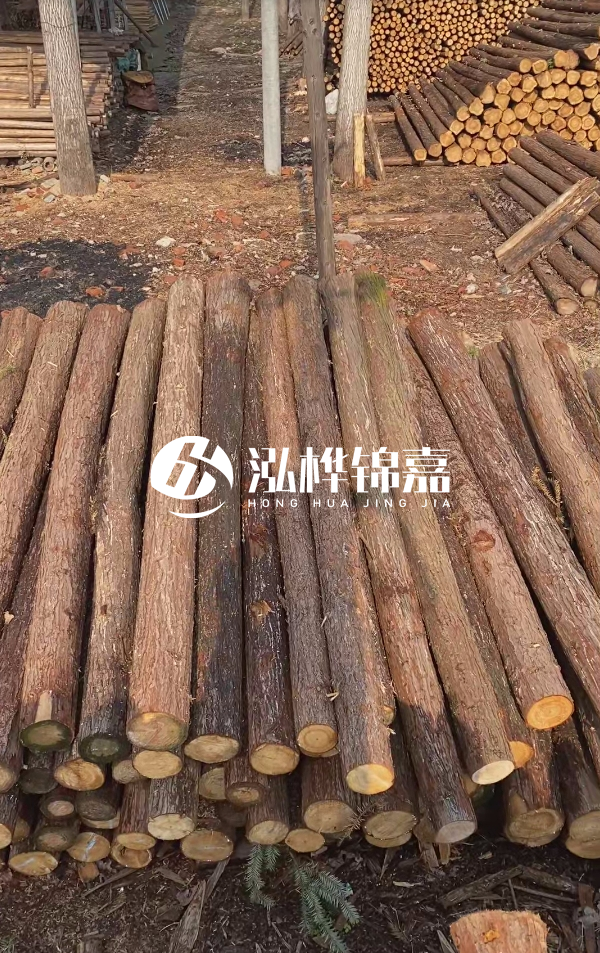 河道護坡選松木樁還是杉木樁？河道木樁一根多少錢？