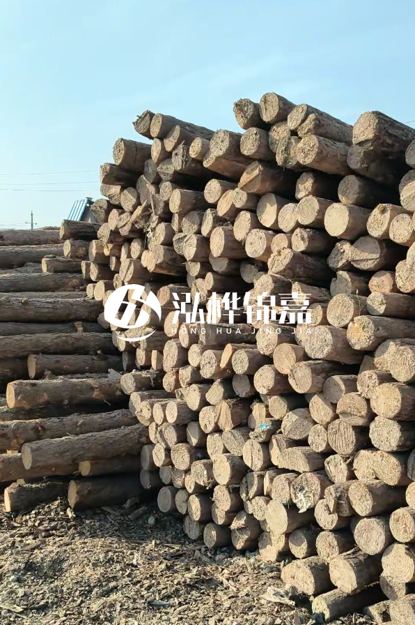 江西哪里有松木樁賣-4米12-14公分松木樁價(jià)格揭秘！