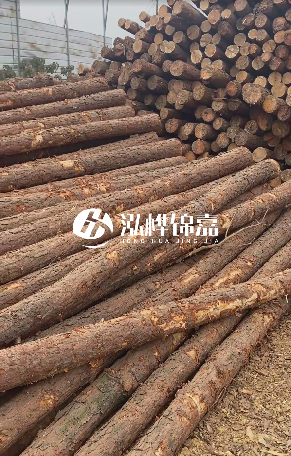 山西河道木樁護(hù)岸價(jià)格多少錢一米-每米河道打樁要花多少錢？