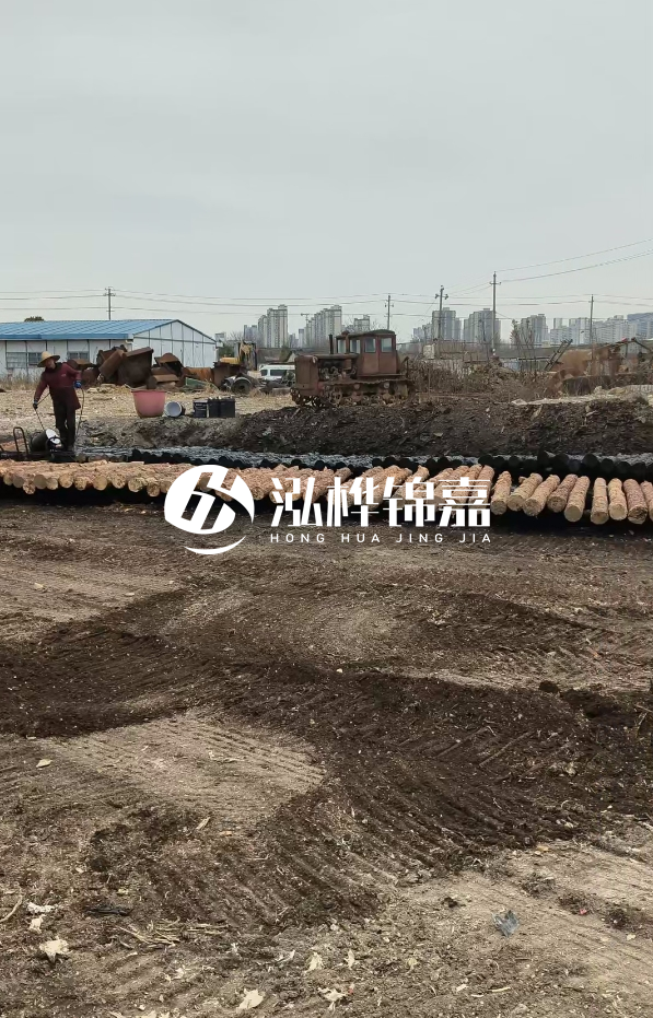 安徽打樁木材哪里買最好-5米直徑12杉木樁送到安徽多少錢？