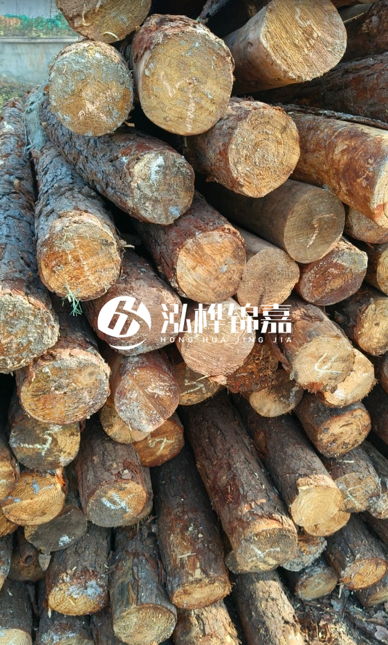 油松3米12公分多少錢一根？油松4米12公分多少錢一根？