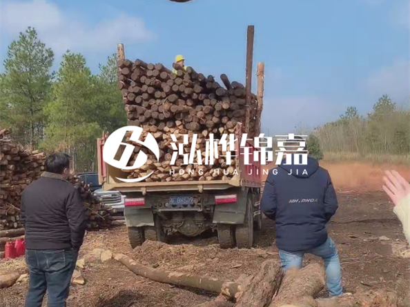 防腐木樁價(jià)格比普通木樁貴多少？防腐木樁有哪些處理方式？