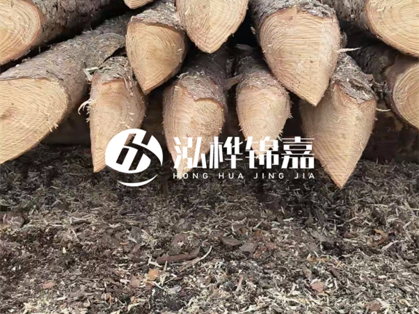 打樁木樁與鋼樁相比有哪些優(yōu)缺點(diǎn)？如何進(jìn)行后期維護(hù)？