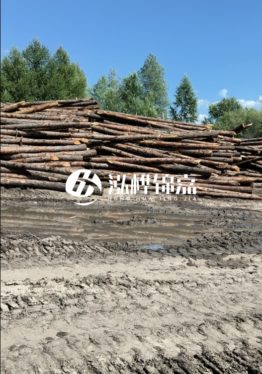 3米松木樁適合河道護(hù)坡嗎？小頭直徑8厘米的松木樁價格如何？