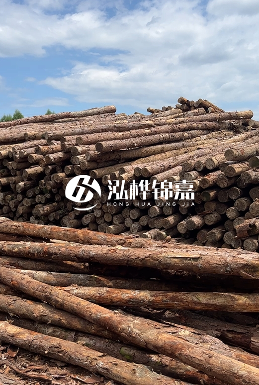 松木打樁木的價格波動受哪些因素影響？杉木樁能代替松木樁嗎？