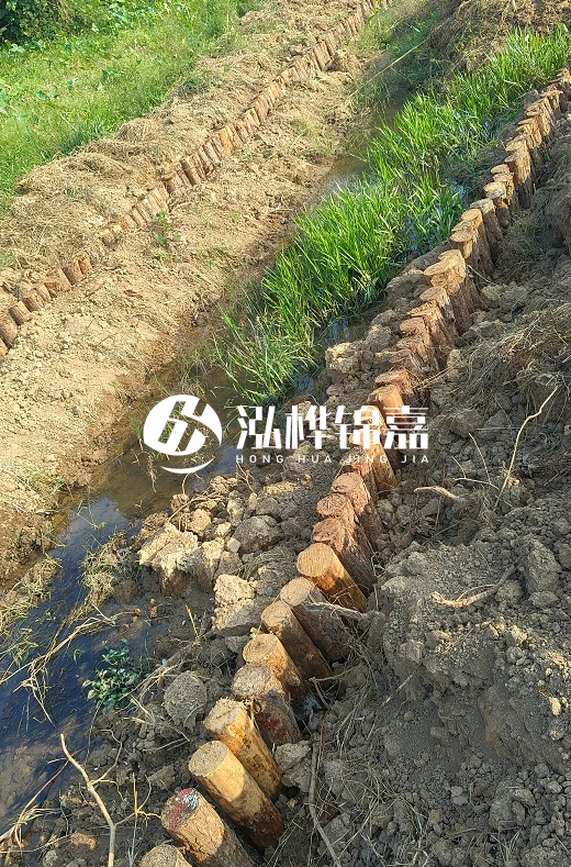 湖南松木樁批發(fā)廠家直銷-松木樁做碳化多少錢一根？