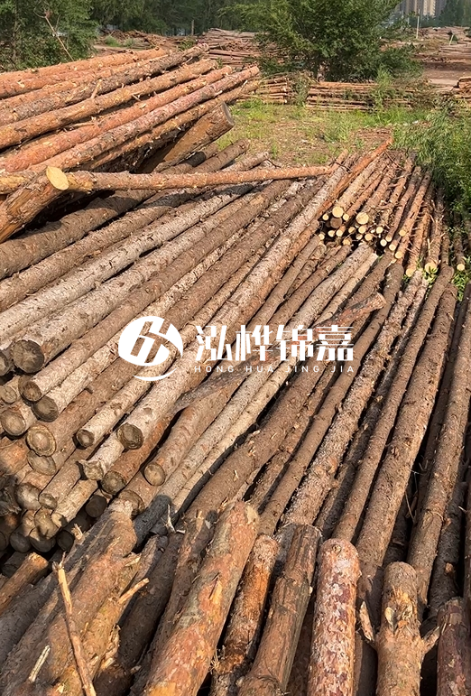 如何選擇合適的松木樁廠家？采購松木樁需要考慮的因素有哪些？