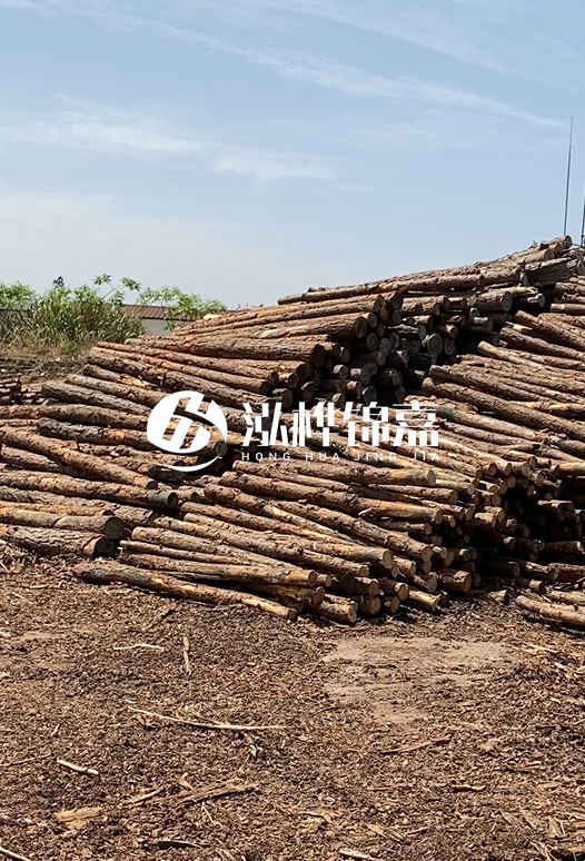 3.5米松木樁單價含稅怎么計算？碳化處理成本增加多少？