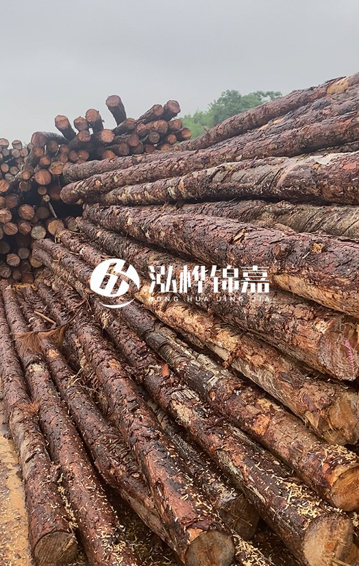 購買松木樁注意事項有哪些-不同直徑松木樁區(qū)別有哪些？