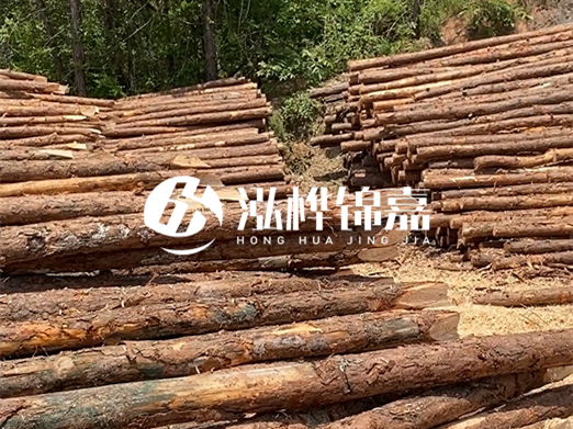 松木樁的運輸費用是否包含卸車費？卸貨時需要注意哪些安全問題？