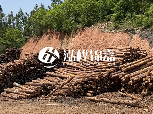 油松打樁木和落葉松打樁木的價格差異是多少？哪個性價比更高？