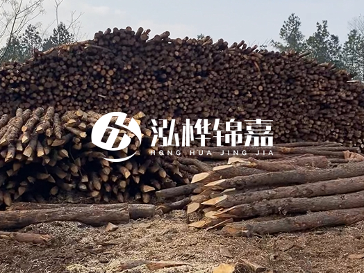 地基打木樁用什么木材 - 地基打木樁的能撐幾年？