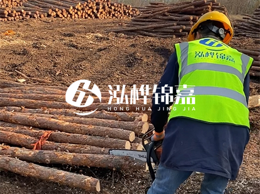 哪些木樁廠家能提供快速定制服務(wù)？哪些木樁廠家在國(guó)內(nèi)有多個(gè)生產(chǎn)基地？