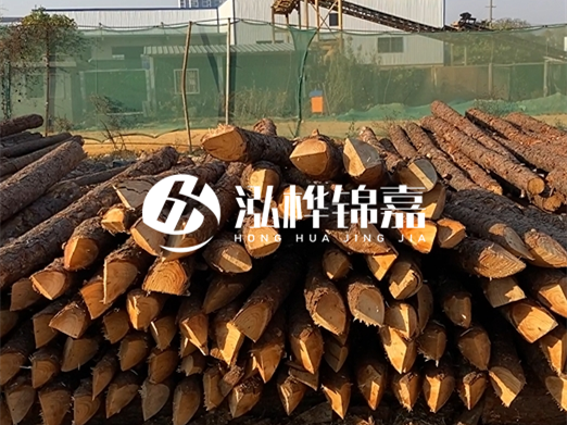 松木樁6米15cm打樁多少錢一根-專業(yè)打木樁隊(duì)聯(lián)系電話？