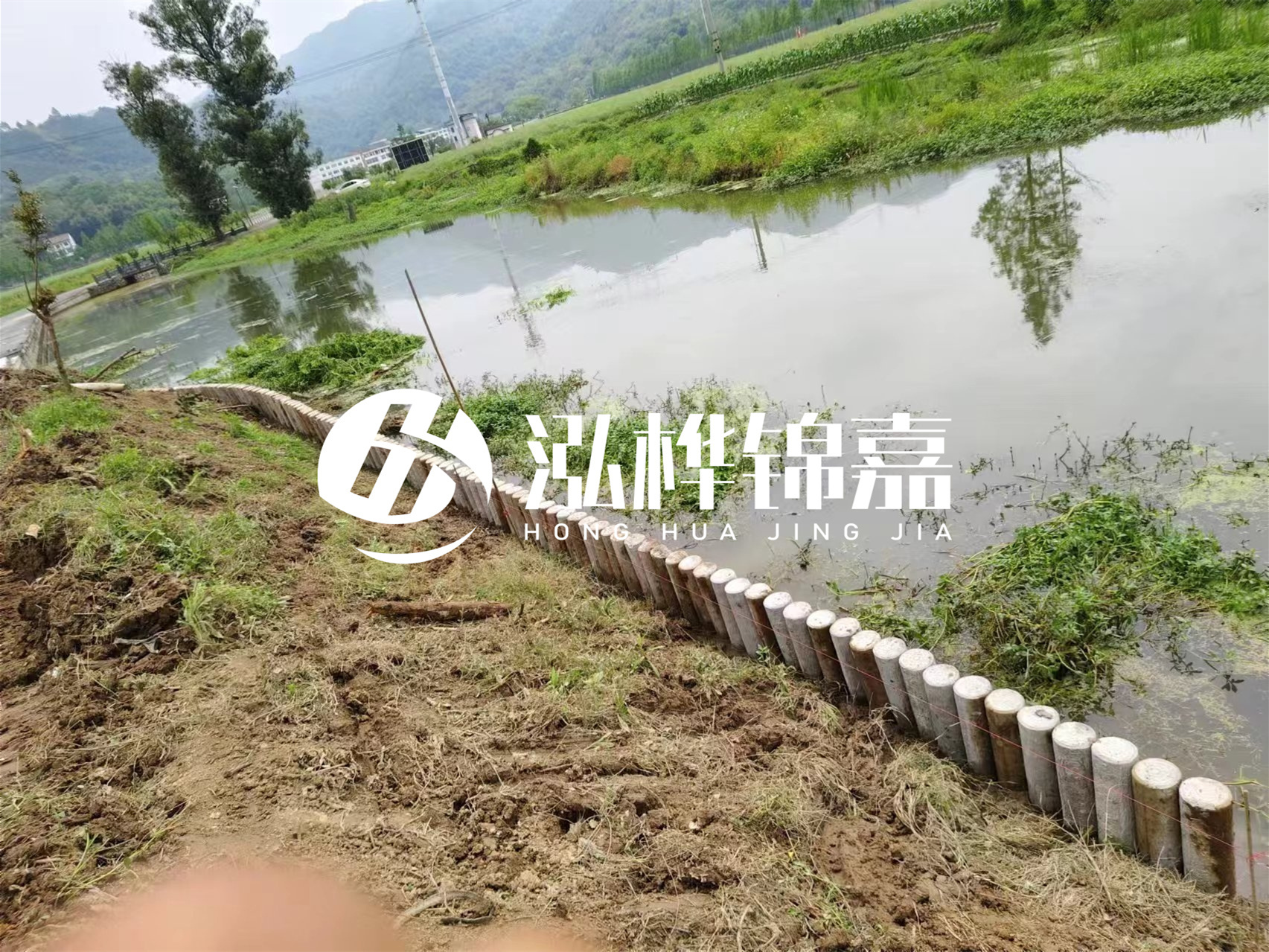 松木樁加固河道與水泥樁對比如何？哪一種更加適合您？