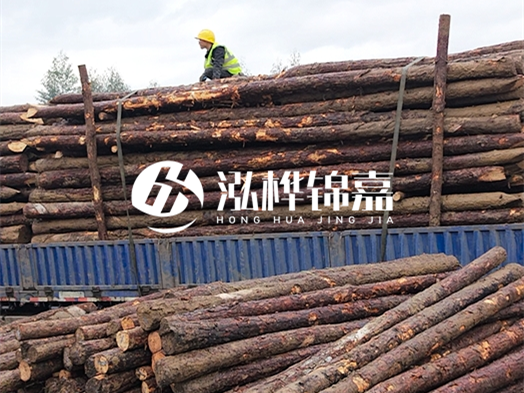 防洪防汛用松木樁的單價是多少？4米長10公分多少錢一根？