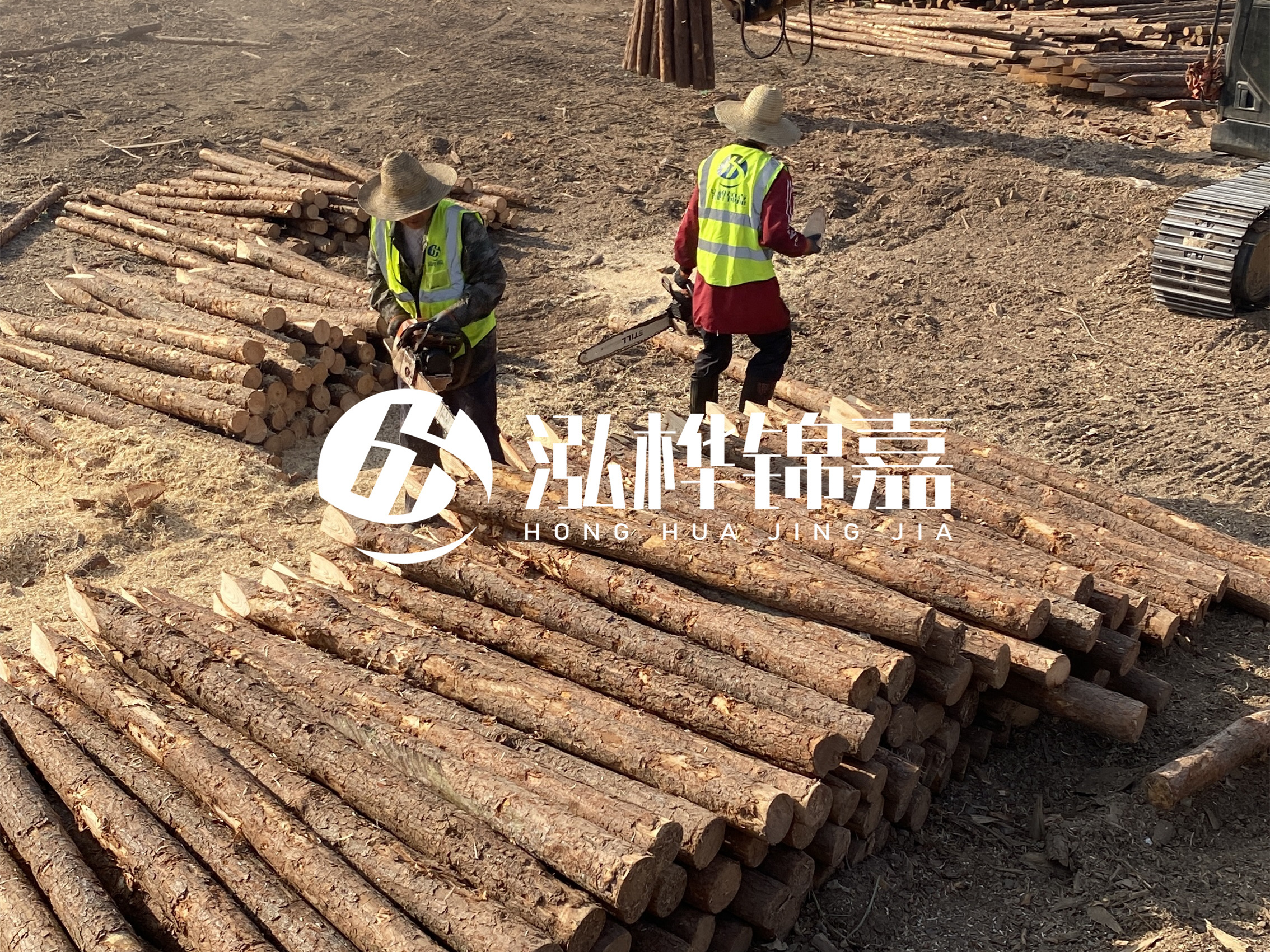 河道木樁報價在汛期前后會有波動嗎？什么時候買最便宜？