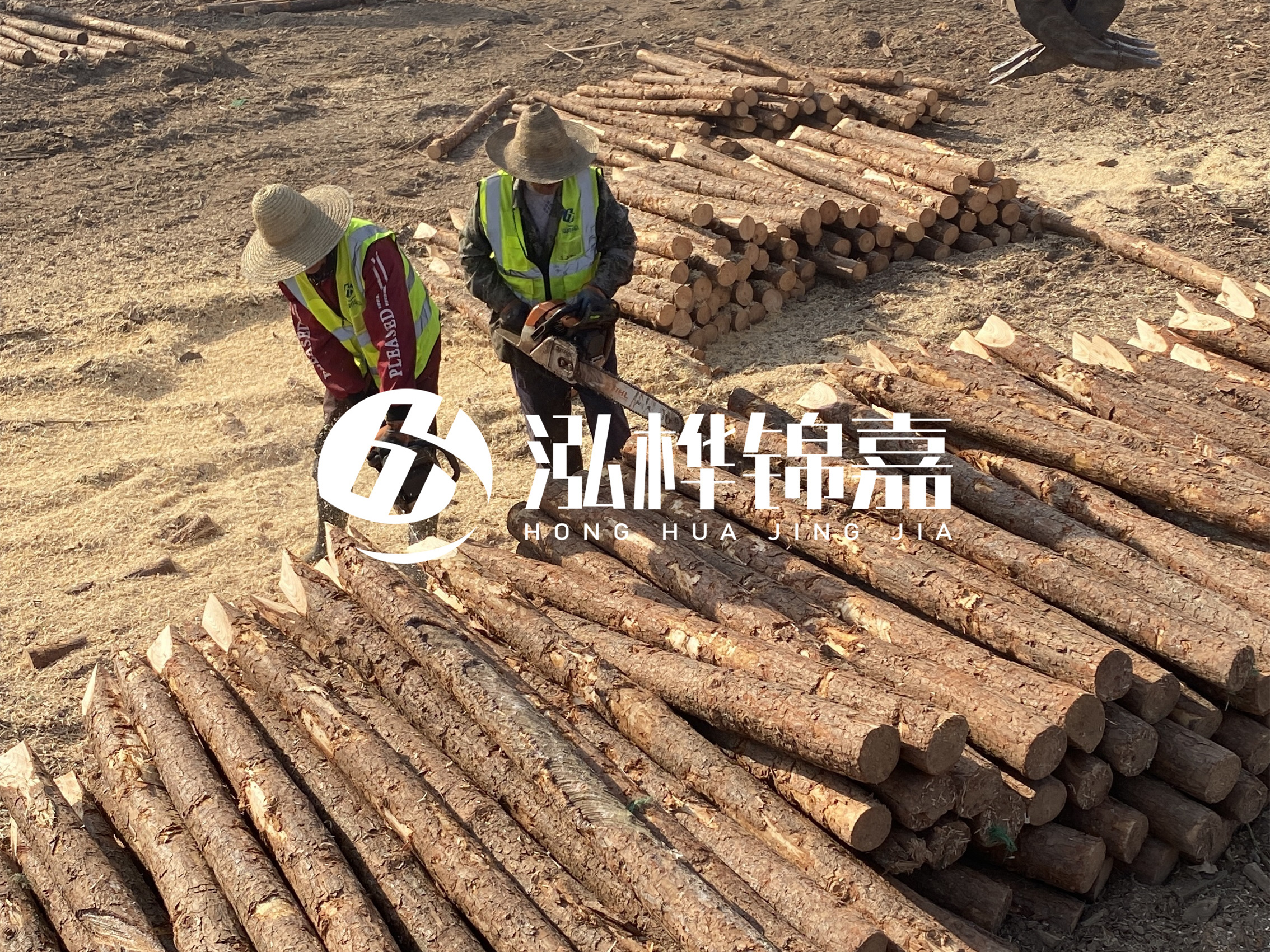 河北打樁木廠家主要生產(chǎn)哪些材質(zhì)的打樁木？產(chǎn)品有哪些規(guī)格？