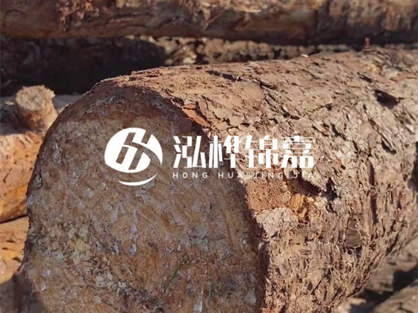 松木樁如何做到千年不腐的？松木樁打地基耐用年限揭秘