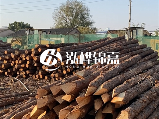 江西松木樁批發(fā)廠家泓樺錦嘉 - 松木廠家批發(fā)電話地址？
