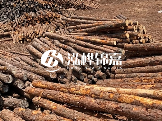 浙江打樁木源頭廠家泓樺錦嘉-松木廠家批發(fā)電話地址？