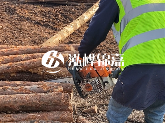 河道打木樁多少錢(qián)一根？5米直徑10松木樁打樁多少錢(qián)？