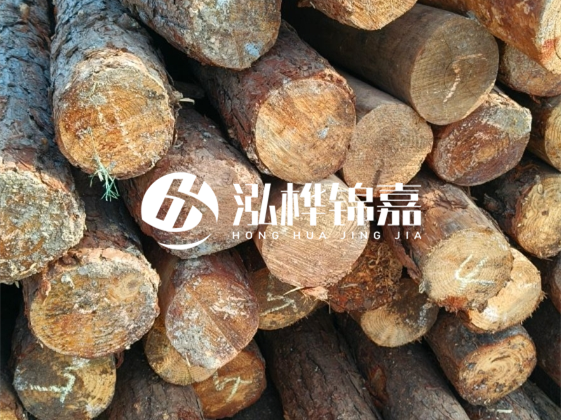 廣東松木樁源頭廠家地址在哪里-泓樺錦嘉屬于什么檔次？