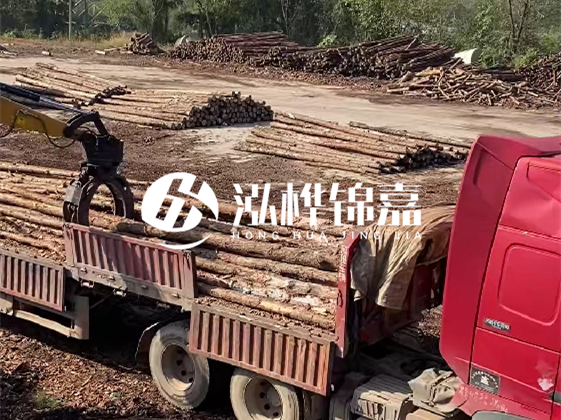 四川松木樁廠家泓樺錦嘉-哪一種打樁木最便宜？